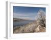 Serviceberry, Horsetooth Reservoir, Fort Collins, Colorado, USA-Trish Drury-Framed Photographic Print