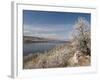 Serviceberry, Horsetooth Reservoir, Fort Collins, Colorado, USA-Trish Drury-Framed Photographic Print