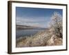Serviceberry, Horsetooth Reservoir, Fort Collins, Colorado, USA-Trish Drury-Framed Photographic Print