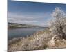 Serviceberry, Horsetooth Reservoir, Fort Collins, Colorado, USA-Trish Drury-Mounted Photographic Print