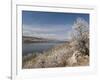 Serviceberry, Horsetooth Reservoir, Fort Collins, Colorado, USA-Trish Drury-Framed Photographic Print