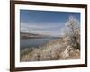 Serviceberry, Horsetooth Reservoir, Fort Collins, Colorado, USA-Trish Drury-Framed Photographic Print