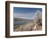 Serviceberry, Horsetooth Reservoir, Fort Collins, Colorado, USA-Trish Drury-Framed Photographic Print