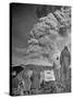 Servicemen Viewing Eruption of Volcano Mount Vesuvius-George Rodger-Stretched Canvas