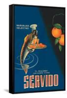 Servido Selected Oranges-Machirart-Framed Stretched Canvas