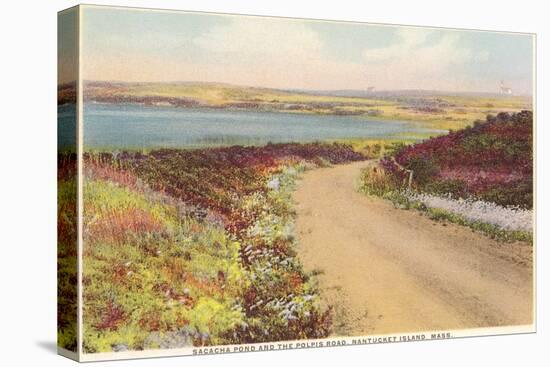 Sesachacha Pond, Polpis Road, Nantucket, Massachusetts-null-Stretched Canvas