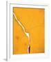 Sesame, c.1970-Helen Frankenthaler-Framed Serigraph