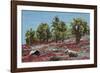 Sesuvium edmonstonei and cactus, South Plaza Island, Galapagos islands, Ecuador.-Sergio Pitamitz-Framed Photographic Print