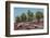 Sesuvium edmonstonei and cactus, South Plaza Island, Galapagos islands, Ecuador.-Sergio Pitamitz-Framed Photographic Print