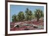 Sesuvium edmonstonei and cactus, South Plaza Island, Galapagos islands, Ecuador.-Sergio Pitamitz-Framed Photographic Print