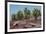 Sesuvium edmonstonei and cactus, South Plaza Island, Galapagos islands, Ecuador.-Sergio Pitamitz-Framed Photographic Print