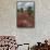 Sesuvium edmonstonei and cactus, South Plaza Island, Galapagos islands, Ecuador.-Sergio Pitamitz-Framed Stretched Canvas displayed on a wall