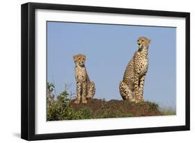 Set by Example-Susann Parker-Framed Premium Photographic Print