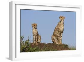 Set by Example-Susann Parker-Framed Photographic Print