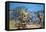 Set Design by Amable Petit and Eugene-Benoit Gardy Depicting Palace Gardens-Giuseppe Verdi-Framed Stretched Canvas