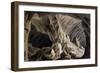 Set Design-Pietro Bertoja-Framed Giclee Print