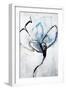 Set in Bloom II-Joshua Schicker-Framed Giclee Print