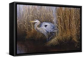 Set in Gold - Great Blue Heron-Wilhelm Goebel-Framed Stretched Canvas