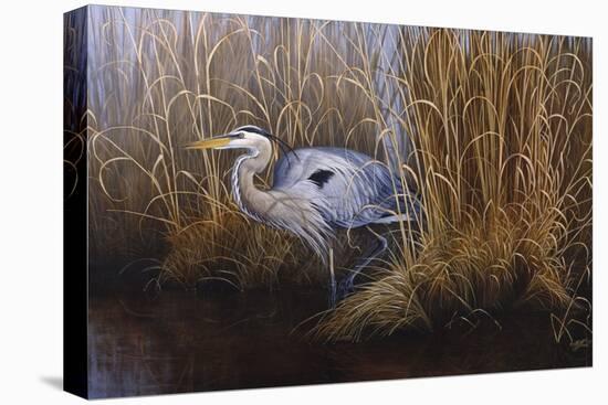 Set in Gold - Great Blue Heron-Wilhelm Goebel-Stretched Canvas