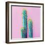 Set Neon Cactus. Minimal Creative Stillife-null-Framed Photographic Print