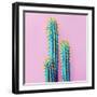 Set Neon Cactus. Minimal Creative Stillife-null-Framed Photographic Print