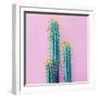 Set Neon Cactus. Minimal Creative Stillife-null-Framed Photographic Print