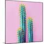 Set Neon Cactus. Minimal Creative Stillife-null-Mounted Photographic Print