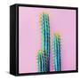 Set Neon Cactus. Minimal Creative Stillife-null-Framed Stretched Canvas