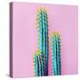 Set Neon Cactus. Minimal Creative Stillife-null-Stretched Canvas