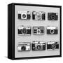 Set of 9 Antique Cameras-Tom Quartermaine-Framed Stretched Canvas