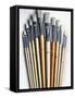 Set of Artist Paintbrushes Fan Out-Winfred Evers-Framed Stretched Canvas