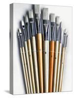 Set of Artist Paintbrushes Fan Out-Winfred Evers-Stretched Canvas