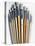 Set of Artist Paintbrushes Fan Out-Winfred Evers-Stretched Canvas