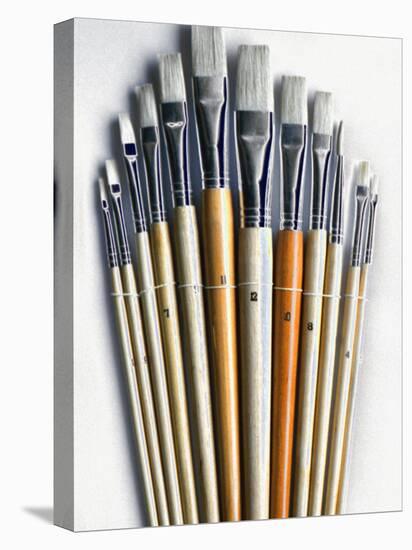 Set of Artist Paintbrushes Fan Out-Winfred Evers-Stretched Canvas