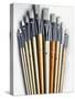 Set of Artist Paintbrushes Fan Out-Winfred Evers-Stretched Canvas