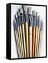 Set of Artist Paintbrushes Fan Out-Winfred Evers-Framed Stretched Canvas