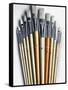 Set of Artist Paintbrushes Fan Out-Winfred Evers-Framed Stretched Canvas