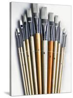 Set of Artist Paintbrushes Fan Out-Winfred Evers-Stretched Canvas