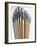 Set of Artist Paintbrushes Fan Out-Winfred Evers-Framed Photographic Print