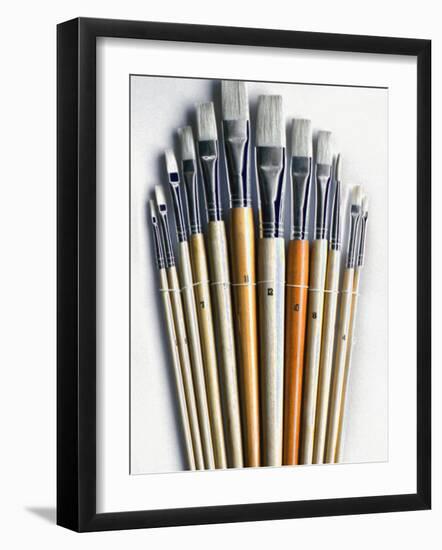 Set of Artist Paintbrushes Fan Out-Winfred Evers-Framed Photographic Print