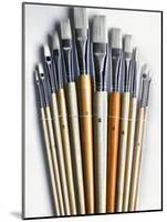 Set of Artist Paintbrushes Fan Out-Winfred Evers-Mounted Photographic Print