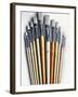 Set of Artist Paintbrushes Fan Out-Winfred Evers-Framed Photographic Print