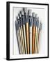 Set of Artist Paintbrushes Fan Out-Winfred Evers-Framed Photographic Print