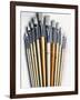 Set of Artist Paintbrushes Fan Out-Winfred Evers-Framed Photographic Print