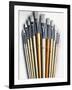 Set of Artist Paintbrushes Fan Out-Winfred Evers-Framed Photographic Print