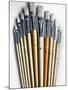 Set of Artist Paintbrushes Fan Out-Winfred Evers-Mounted Photographic Print