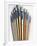 Set of Artist Paintbrushes Fan Out-Winfred Evers-Framed Photographic Print