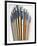 Set of Artist Paintbrushes Fan Out-Winfred Evers-Framed Photographic Print