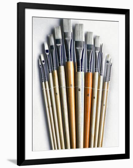 Set of Artist Paintbrushes Fan Out-Winfred Evers-Framed Photographic Print