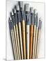 Set of Artist Paintbrushes Fan Out-Winfred Evers-Mounted Photographic Print